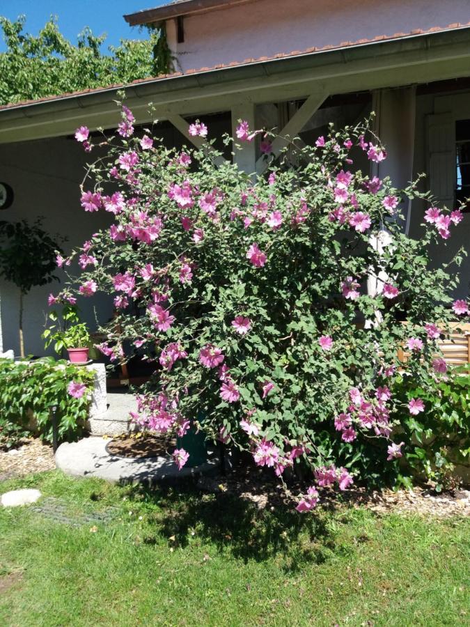 Bed and Breakfast Les Eygletieres Bourriot-Bergonce Екстер'єр фото