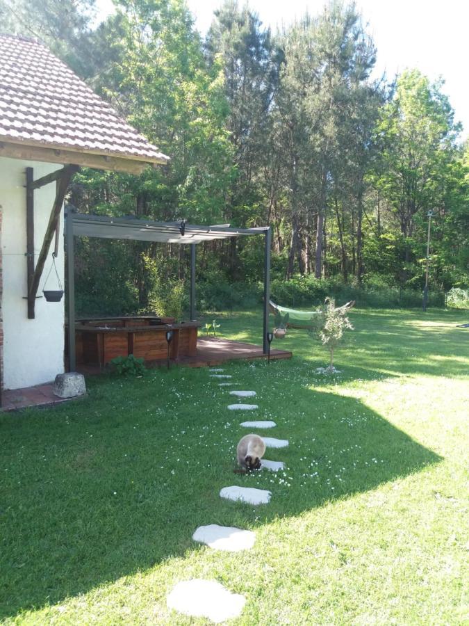 Bed and Breakfast Les Eygletieres Bourriot-Bergonce Екстер'єр фото