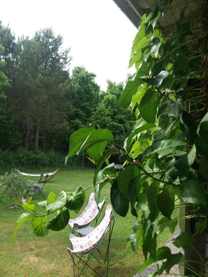 Bed and Breakfast Les Eygletieres Bourriot-Bergonce Екстер'єр фото